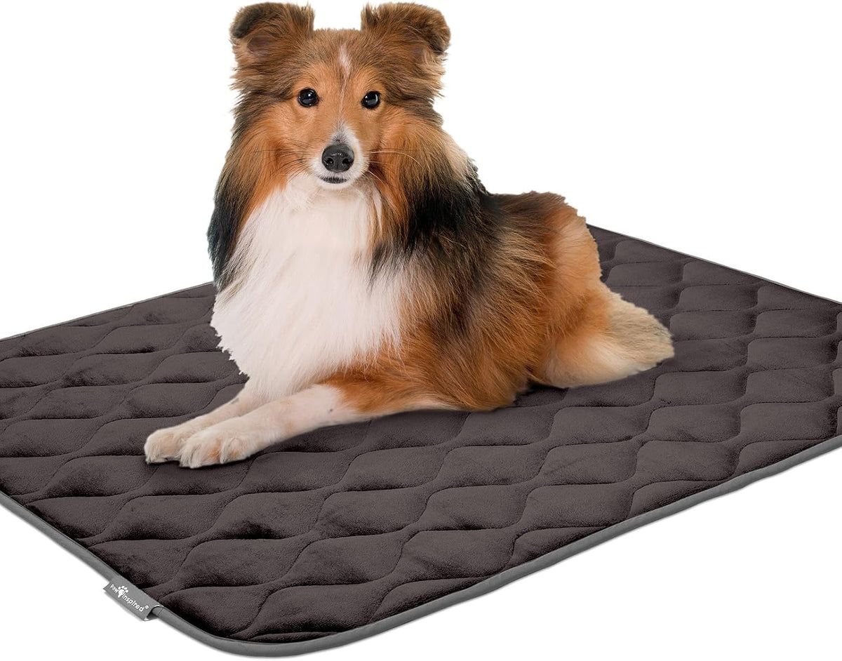 Paw Inspired Washable Padded Crate Mats for Dogs, Gray, 41x28 Inch