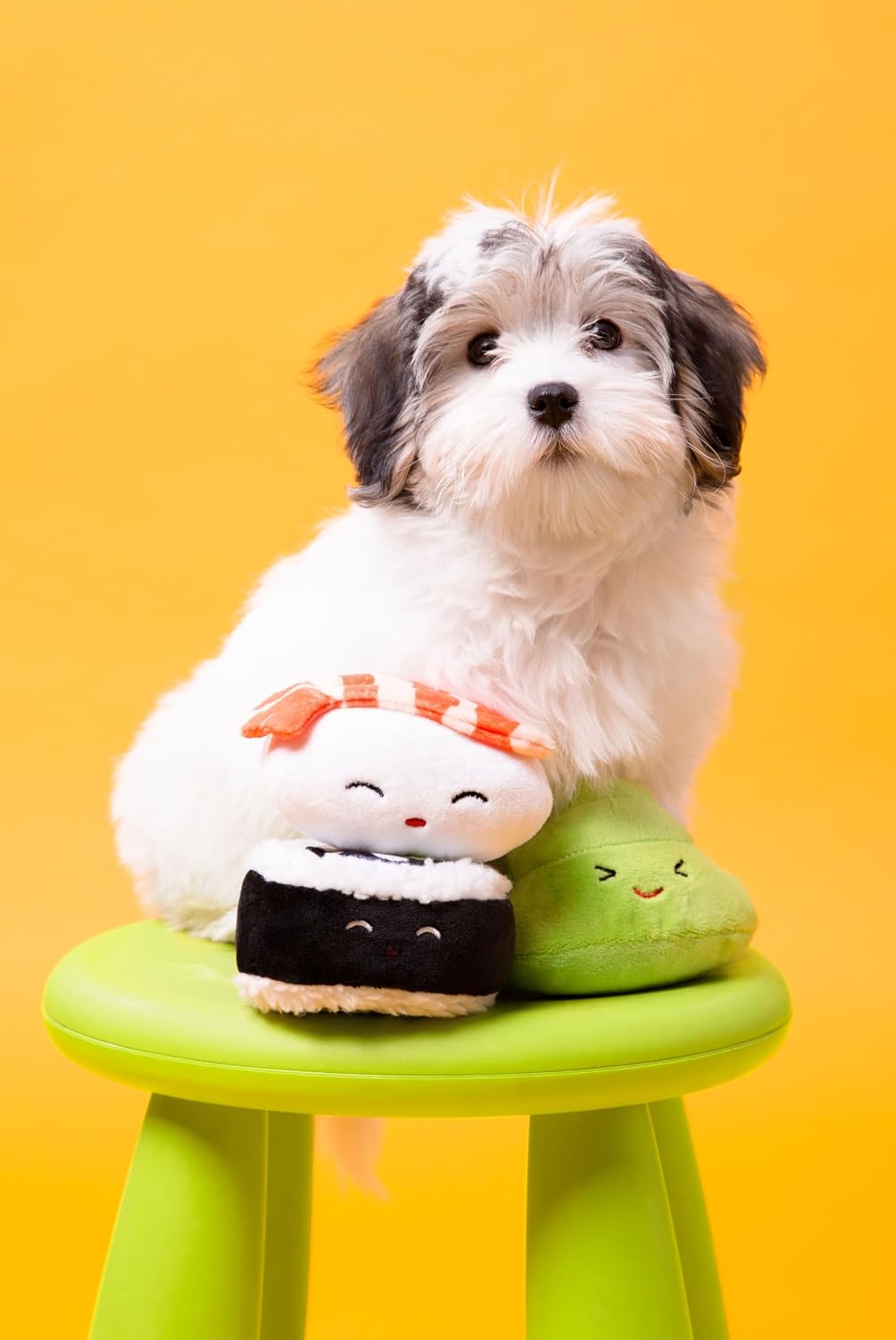 Pearhead Sushi Plush Squeaky Dog Toys, Gift Set