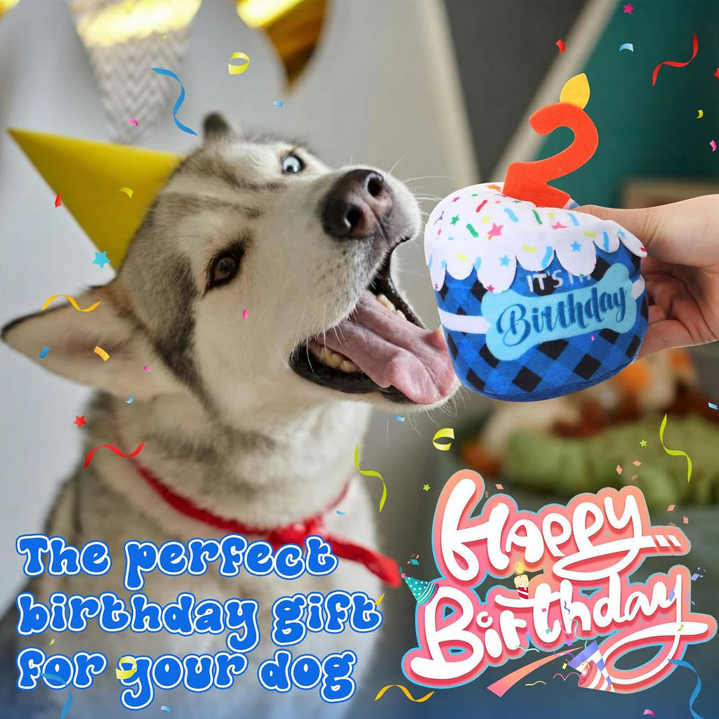 Dansydaisy Dog Birthday Cake Toy Squeaky Plush Gift,2nd,Blue Grid | Interactive Squeaky Gift for Dogs, Dog Birthday Decor , Soft Chew for Small Medium Large Pets, Cake Design with Candle