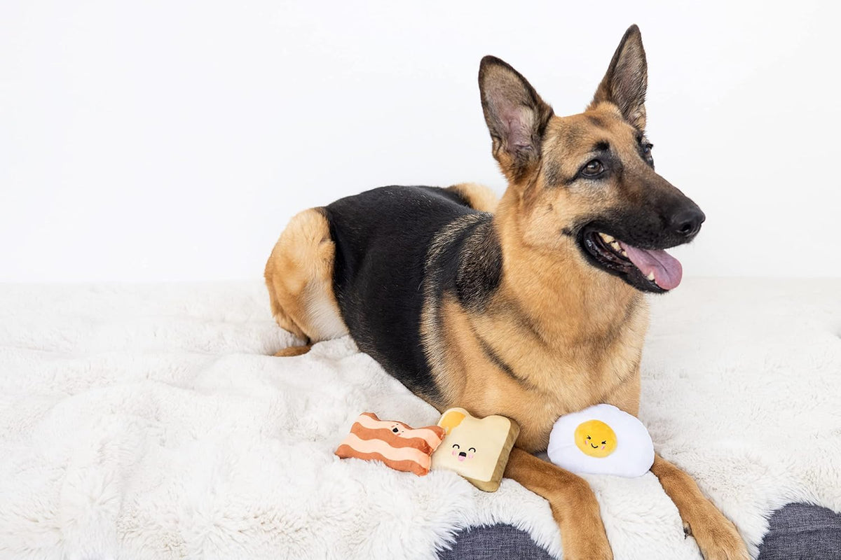 Pearhead Breakfast Dog Toy Set - 3-Piece Bunch Food Theme (Egg