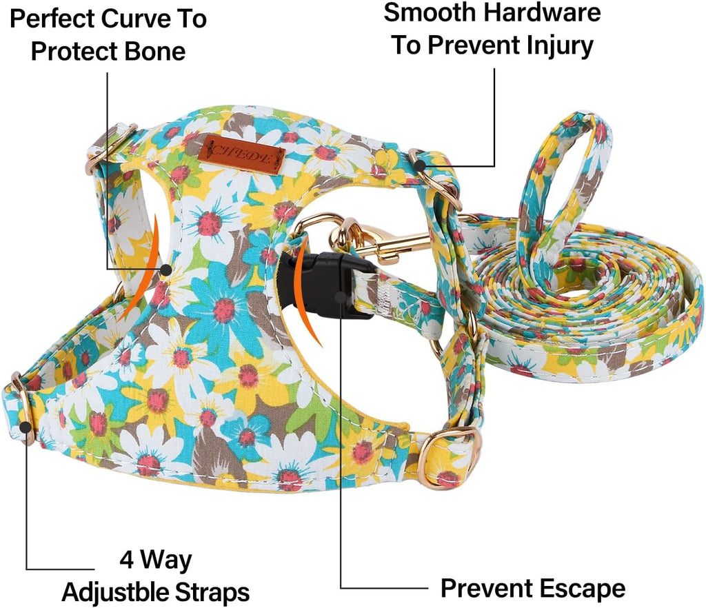 CHEDE No Pull Floral Pattern Dog Harness- Lightweight and Soft Harness, Adjustable Small Dog Harness and Leash Set, with Dog Leash, Suitable for Puppy Small and Medium-Sized Dog