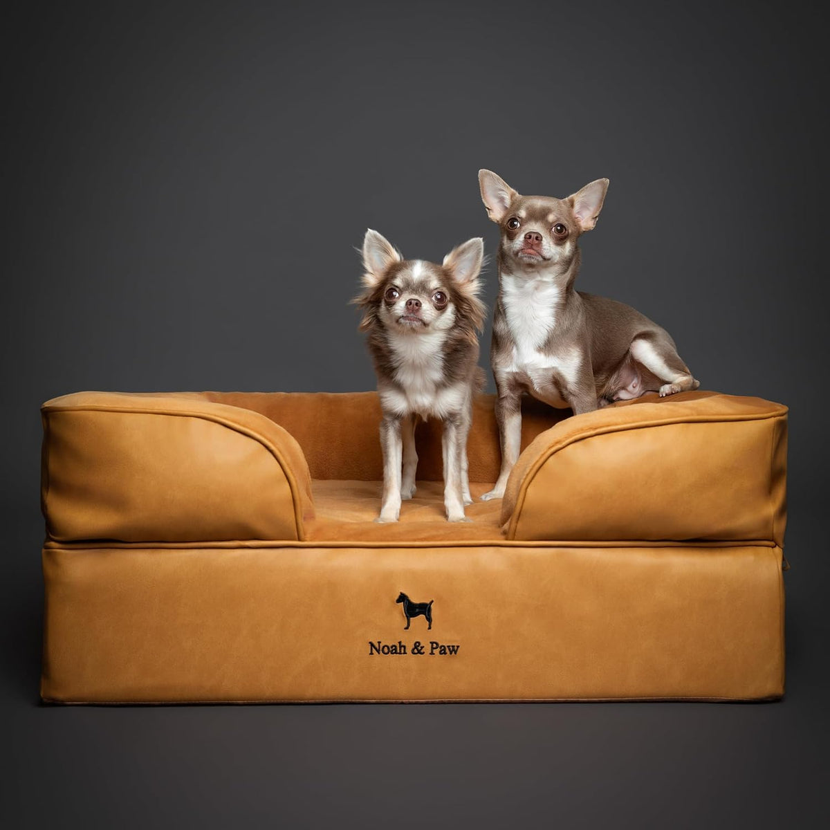 NOAH & PAW Dog Bed, Orthopedic Memory Cooling Foam (2X Base) 28x23x11in