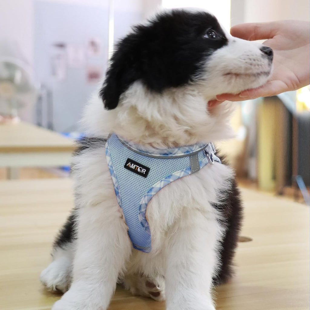 AMTOR Small Dog Harness with Leash Set, No Escape Easy Walk Puppy Harnesses for Training Walking, Step-in Reflective Soft Dogs Vest for XS S Medium Extra-Small Large Sized Dog(Blue/White,XL)