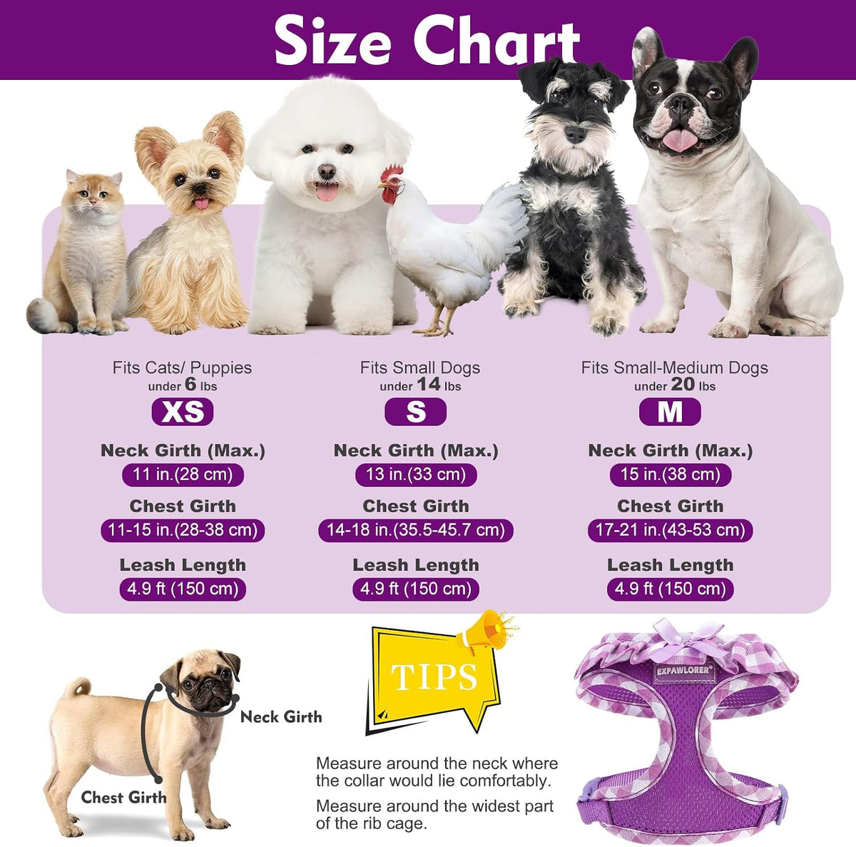 EXPAWLORER Step-in Small Dog Harness and Leash Set, Purple M