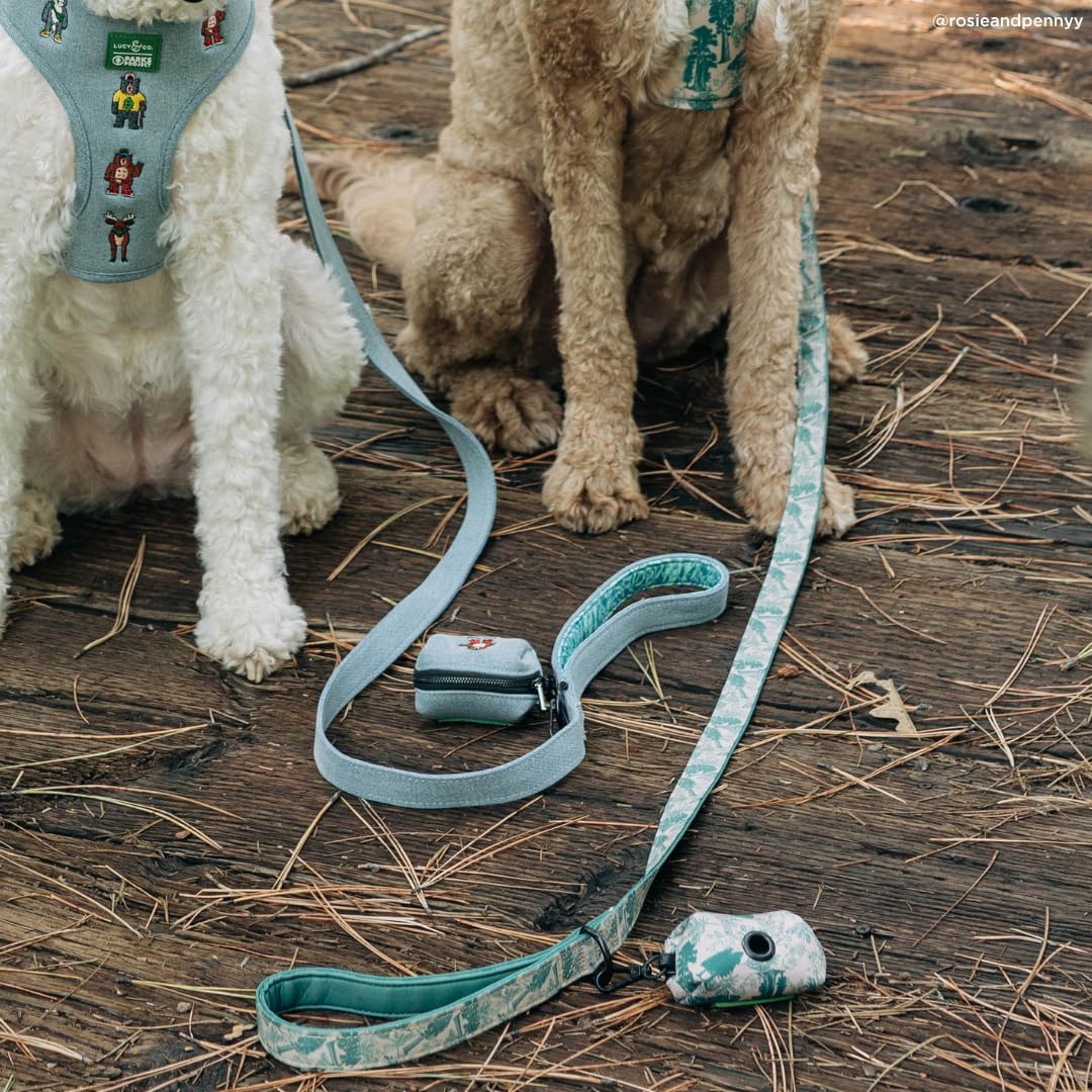 Lucy & Co. x Parks Project Adventures with Friends Dog Leash, S
