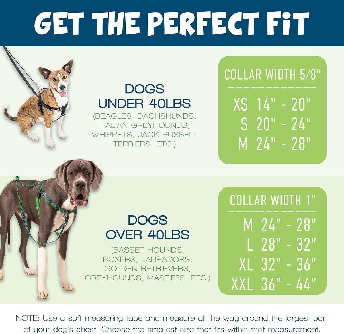 2 Hounds Design Freedom No Pull Dog Harness and Leash, 1" LG, Teal
