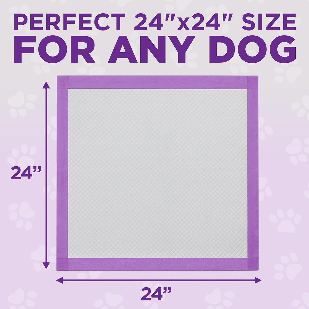 POOPH® Potty Pads™ 24 x 24 in, 25 Count | Disposable 24 x 24 in potty pads with absorbent core and odor control. Includes 25 pads