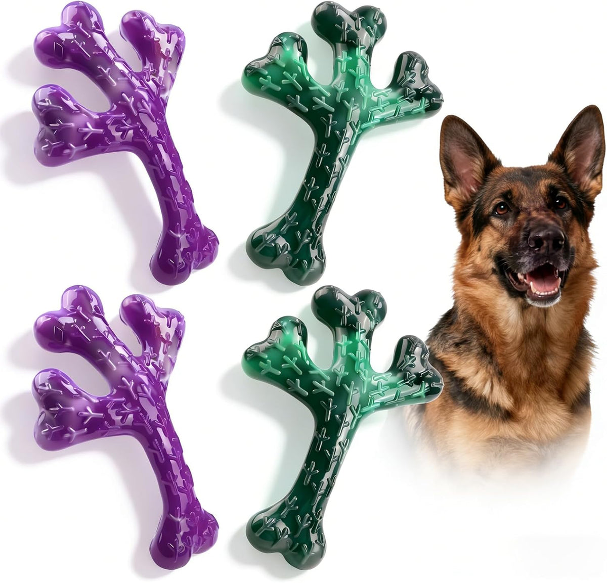 Frienhund 4 Pack (Cactus) Indestructible Tough Dog Toys for Aggressive Chewers: Beef Flavored Chew Bone for Large Dogs 20-90 lbs, Long Lasting & Keep Them Busy