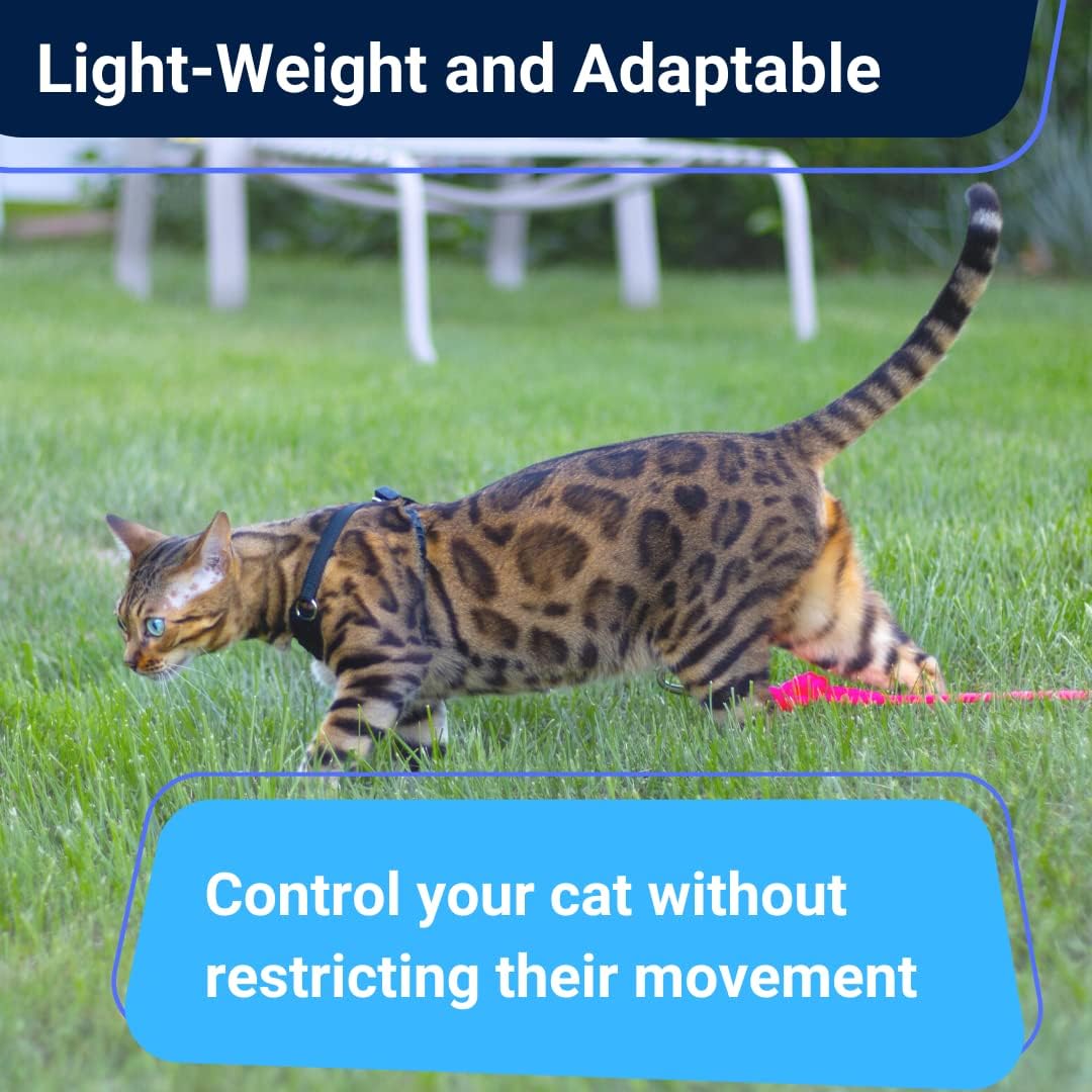 OutdoorBengal Houdini™ Escape Proof Cat Harness and Leash (V. Leather, XL)