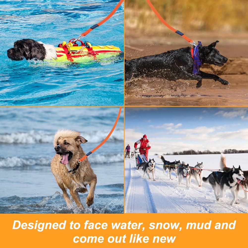 Vivifying Waterproof Long Dog Leash, 20ft Dog Training Leash, Orange