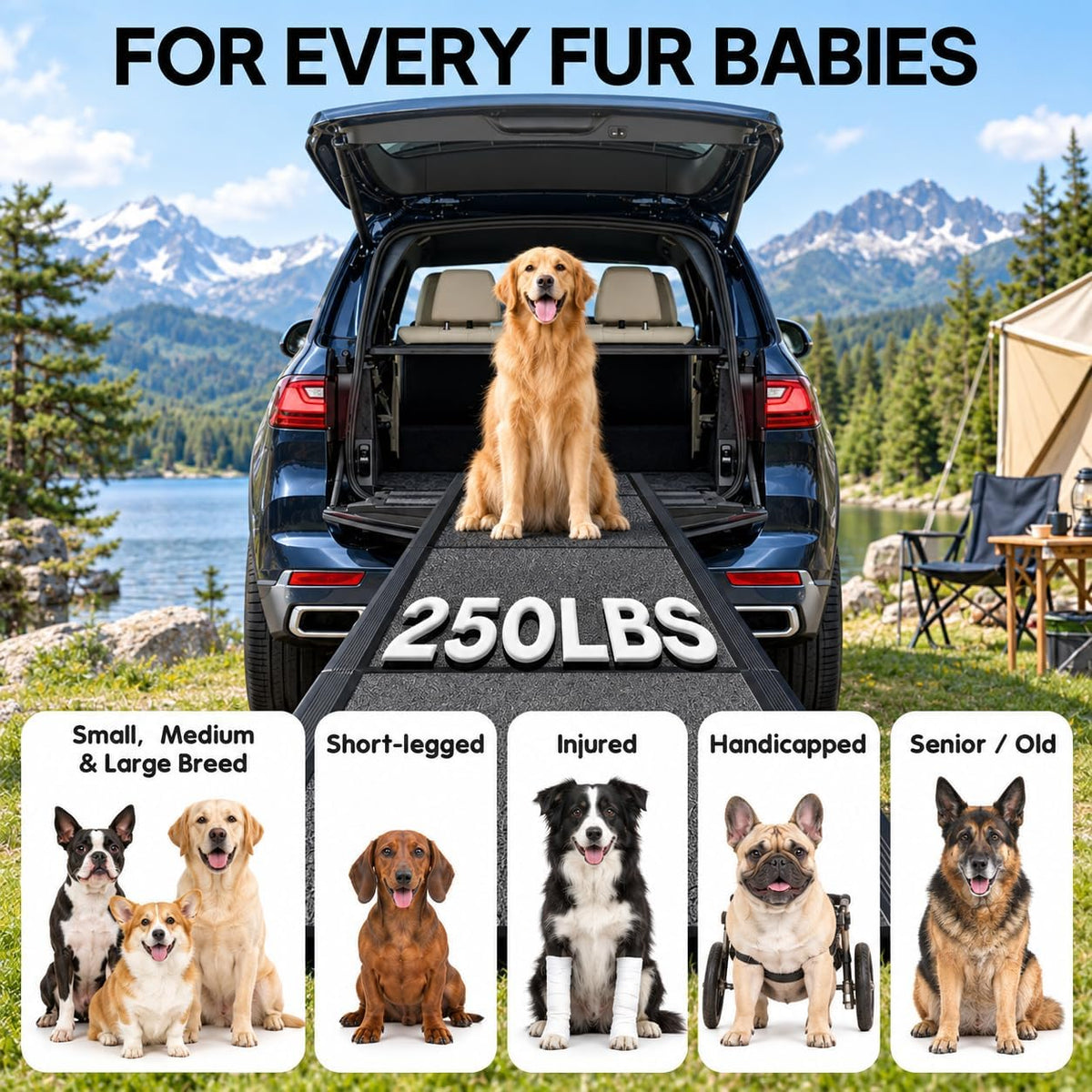 Dog Ramp for Large Dogs, 67" L x 17" W Lightweight Foldable Pet Ramp