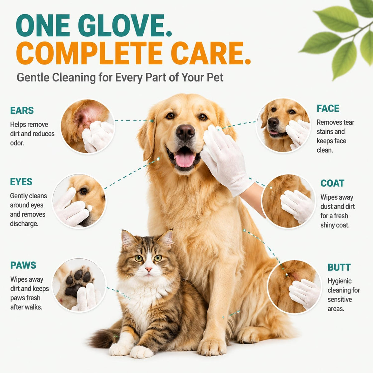50 Pcs Pet Glove Wipes for Dogs & Cats, Pet Cleaning Gloves