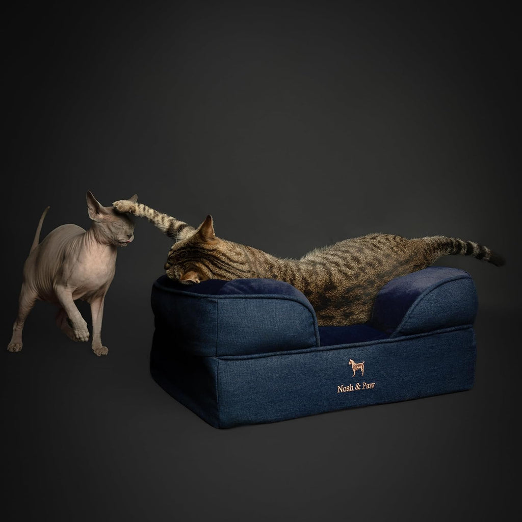 NOAH & PAW Cat Bed, XS Dog Bed, Orthopedic Memory Foam (2X Base) 20x15x8 in