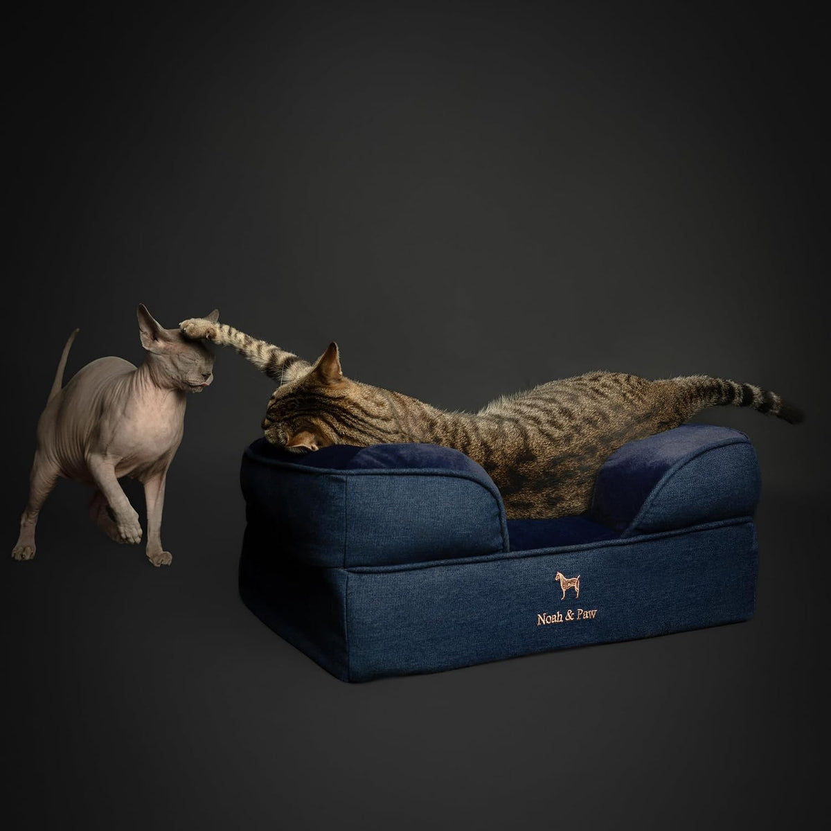 NOAH & PAW Cat Bed, XS Dog Bed, Orthopedic Memory Foam (2X Base) 20x15x8 in
