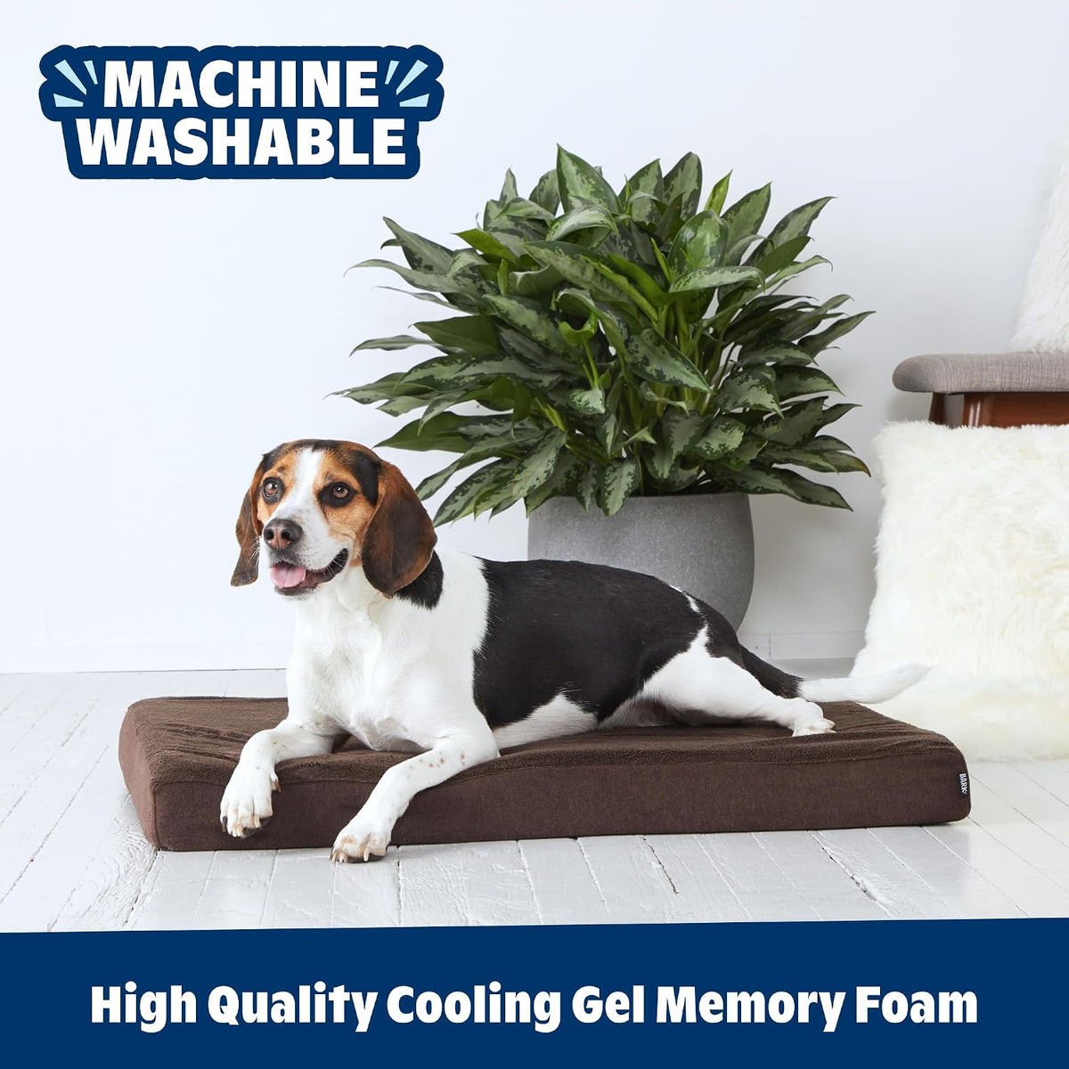 BarkBox Orthopedic Dog Bed - Medium