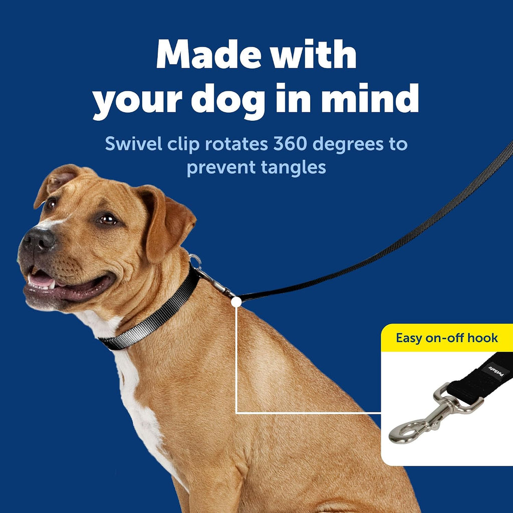 PetSafe Nylon Dog Leash - Strong, Durable, Traditional Style Leash with Easy to Use Bolt Snap - 3/4 in. x 4 ft., Black