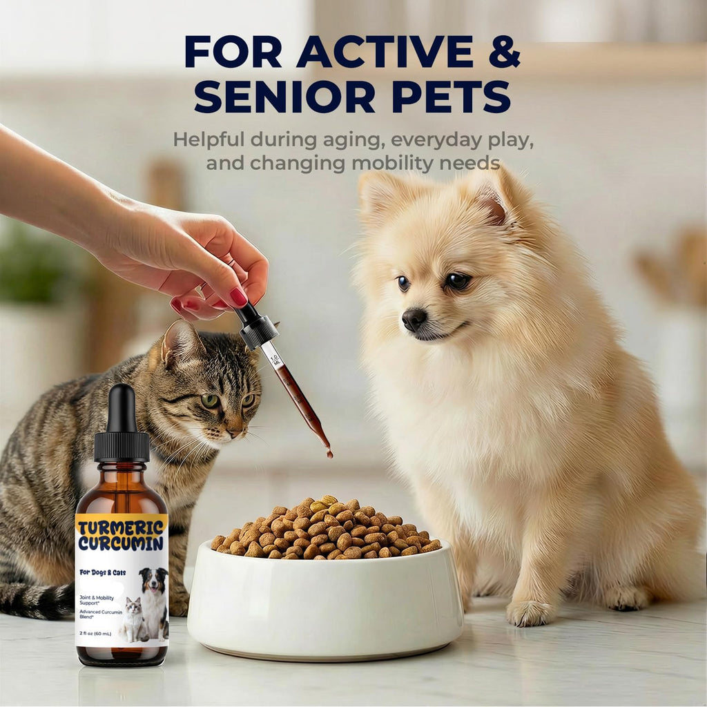 Turmeric Curcumin Liquid for Dogs & Cats, Joint & Mobility Formula
