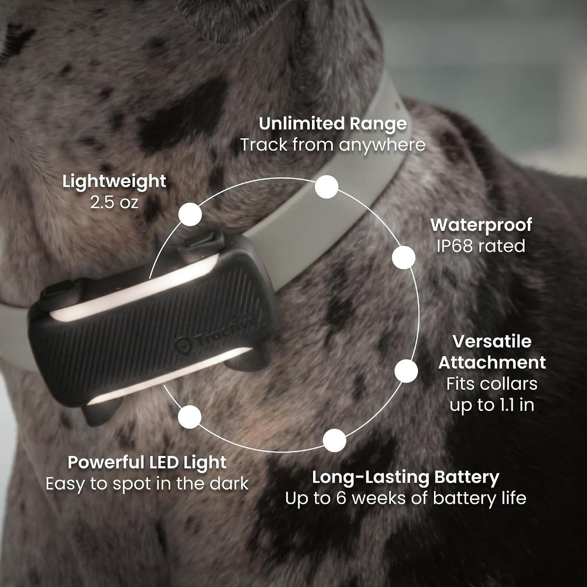 Tractive XL Smart Dog GPS Tracker | Live Pet Tracker with Virtual Fence | Vital Signs Monitoring of Heart & Respiratory Rate | Up to 6-Weeks Battery Life | Dog Collar Attachment (Brown)