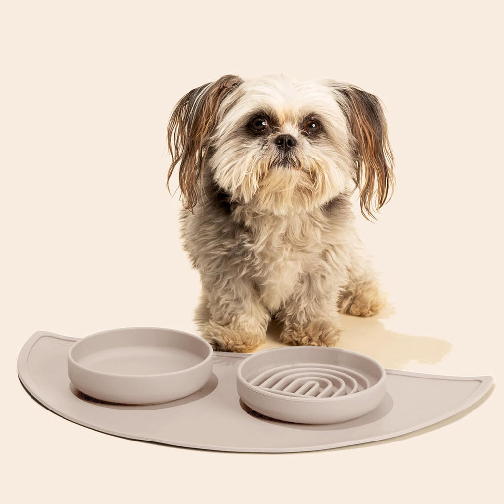 Slow Feeder Dog Bowl - Silicone Dog Bowl, Small, 6" x 1.25" - Tan