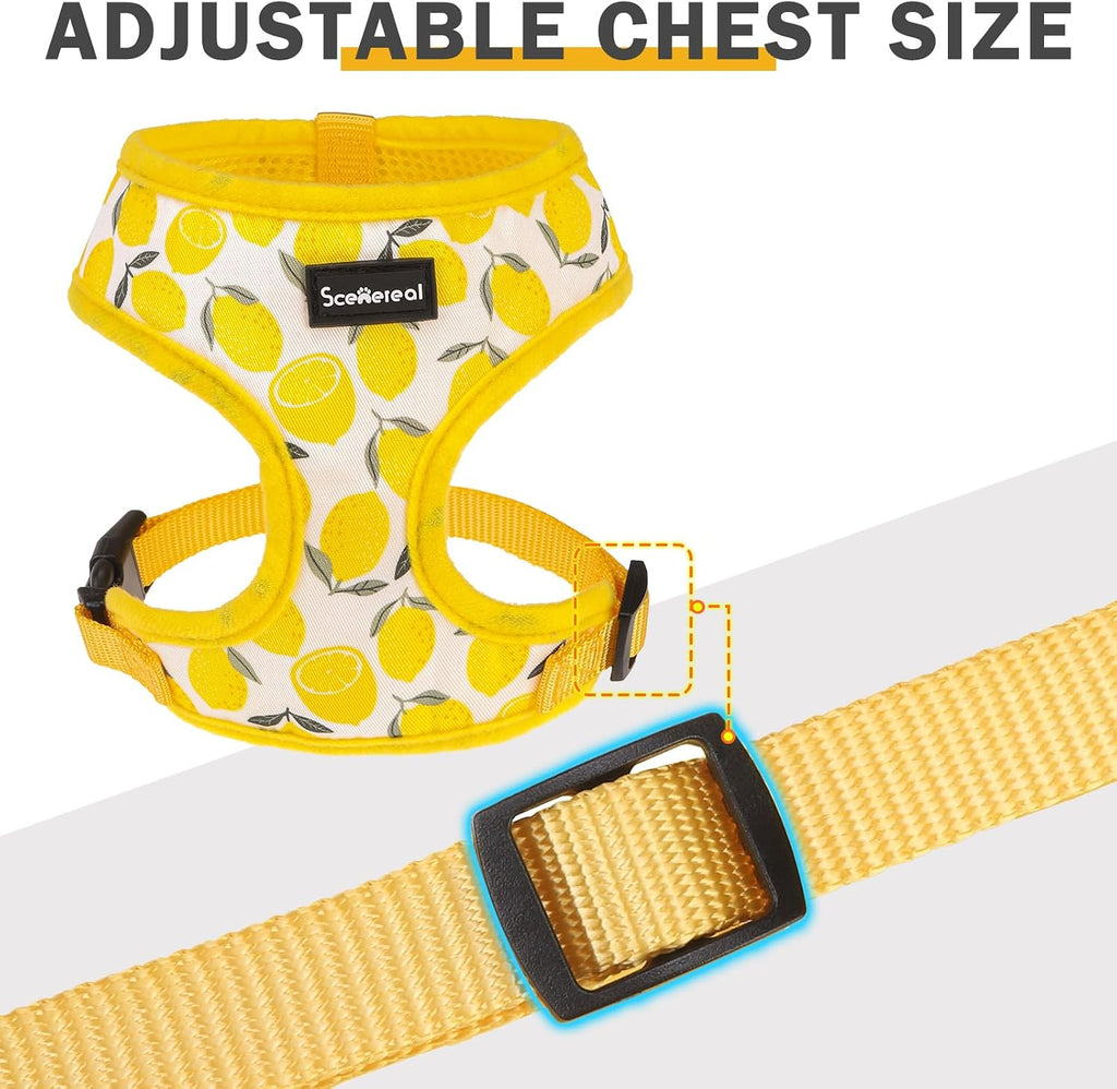 SCENEREAL Small Dog Harness and Leash Set, Lemon Yellow, XS