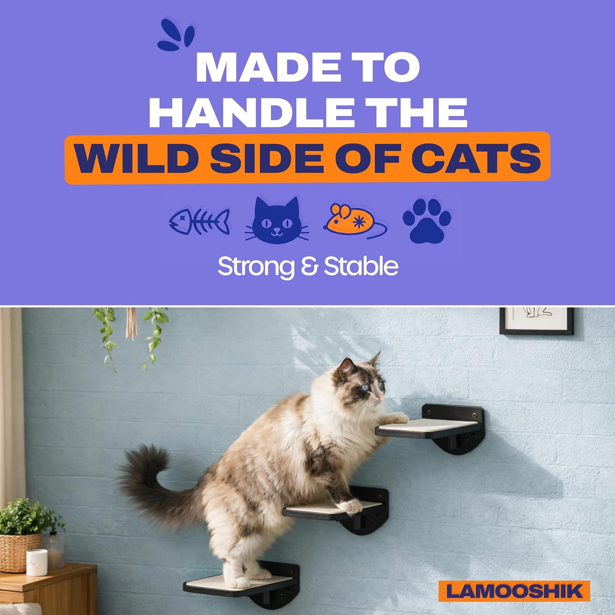 Cat Wall Shelves, Black Floating Cat Steps Set of 3