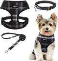 SCENEREAL No Pull Dog Harness and Leash Set Small Medium Sized Dog