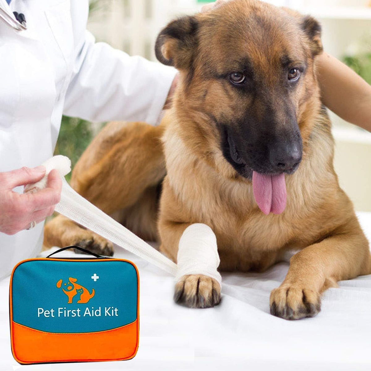 Pet First Aid Kit for Dog, Cat, Rabbit and Other Animal,with Thermometer, Syringe, Otoscope, Perfect for Home Care and Outdoor Travel Emergencies