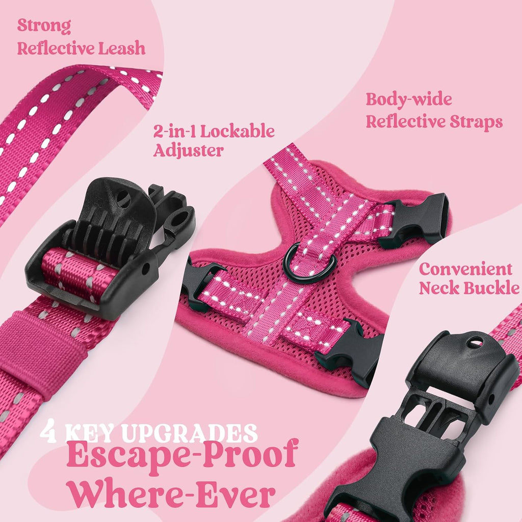 rabbitgoo Cat Harness and Leash Set, Easy-on with Neck Buckle, Rose Red