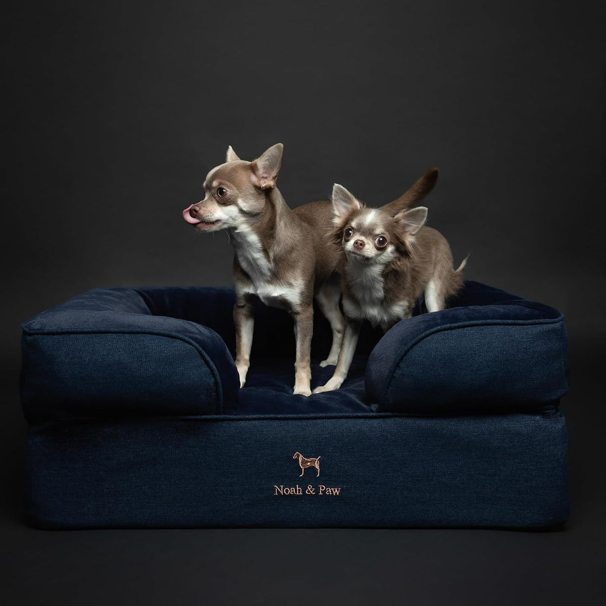 NOAH & PAW Dog Bed, Orthopedic Memory Cooling Foam (2X Base) 28x23x11in