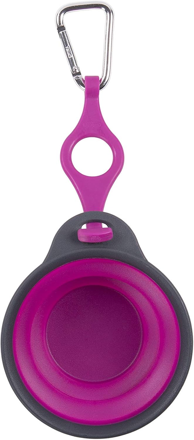 Dexas Pets Collapsible Travel Pet Cup with Bottle Holder and Carabiner, Fuchsia 
