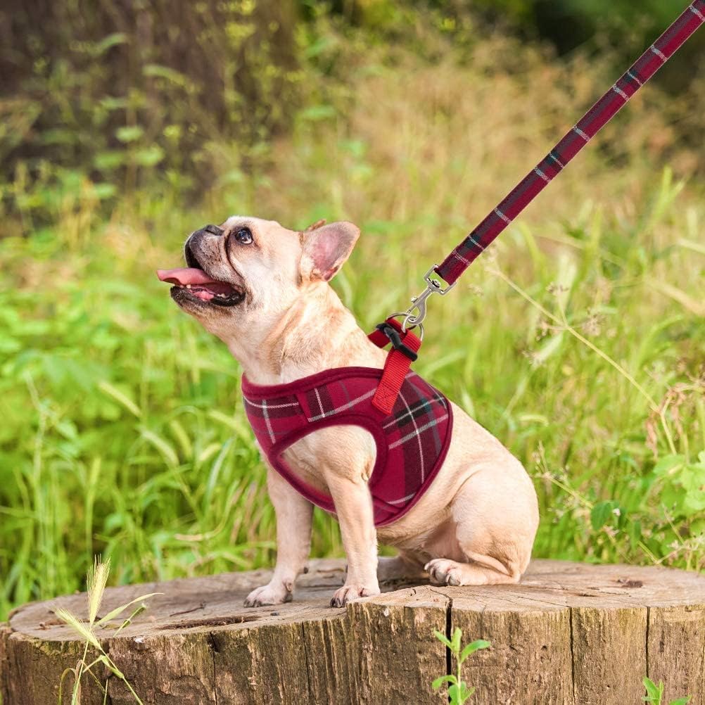 PUPTECK Soft Mesh Dog Harness and Leash Set Step-in Plaid Puppy Padded No Pull Vest Harness for XS Small Medium Sized Dogs Cats Outdoor Walking, Red M