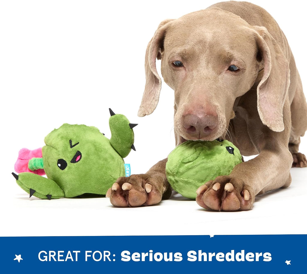 BarkBox Consuela the Cactus 2-in-1 Interactive Plush Dog Toy | Squeaky Dog Chew Toy with Crinkle Layers - For Large Dogs and Puppies