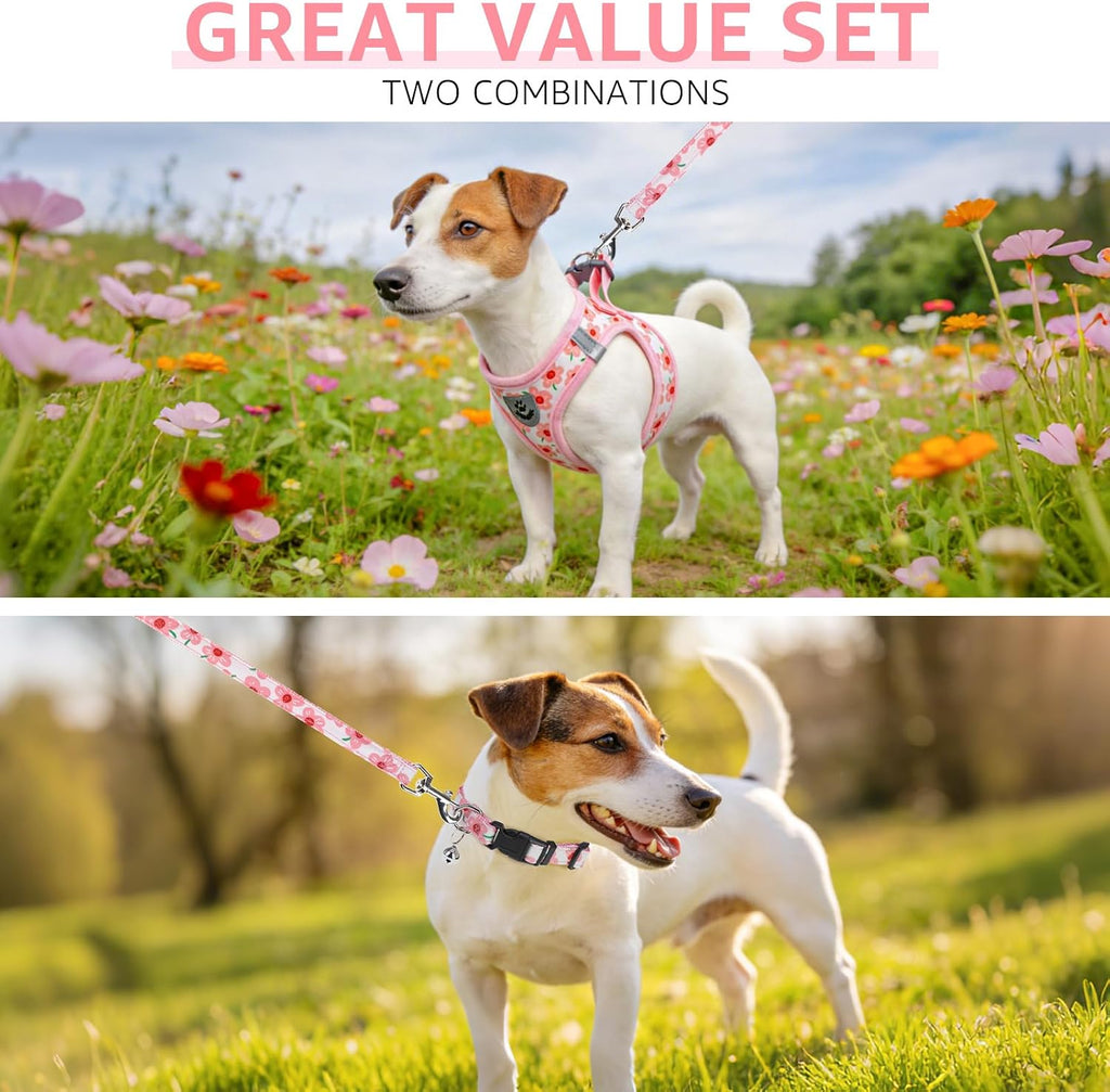 SCENEREAL Small Dog Harness Collar and Leash Set,Cute Puppy Harness No Pull