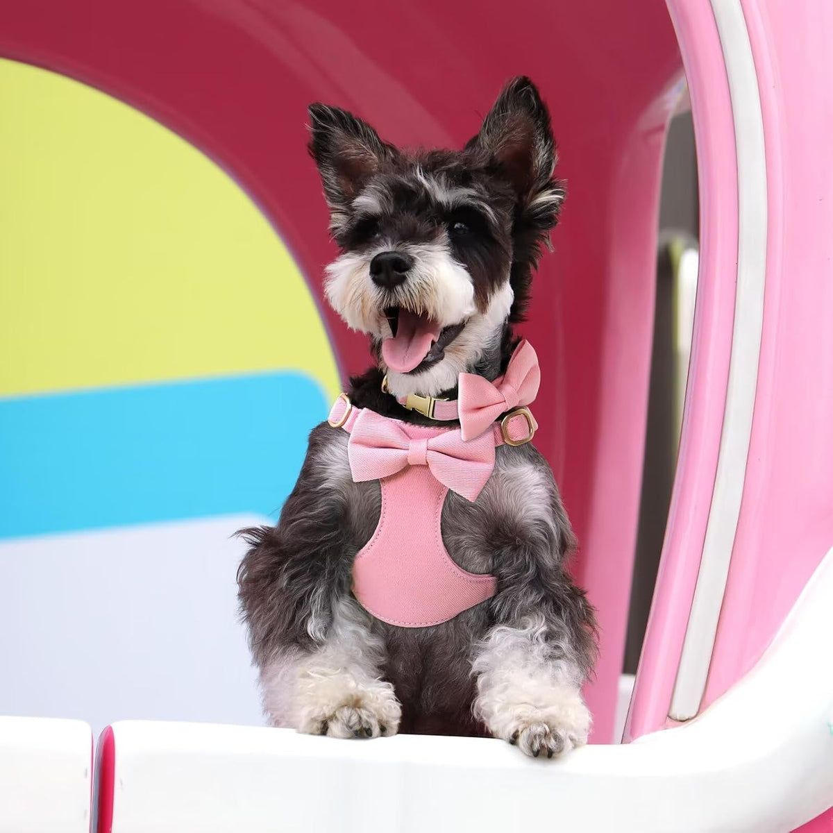 Beirui Cute Small Dog Harness Collar and Leash Set, Pink,XS,Chest 13-28"