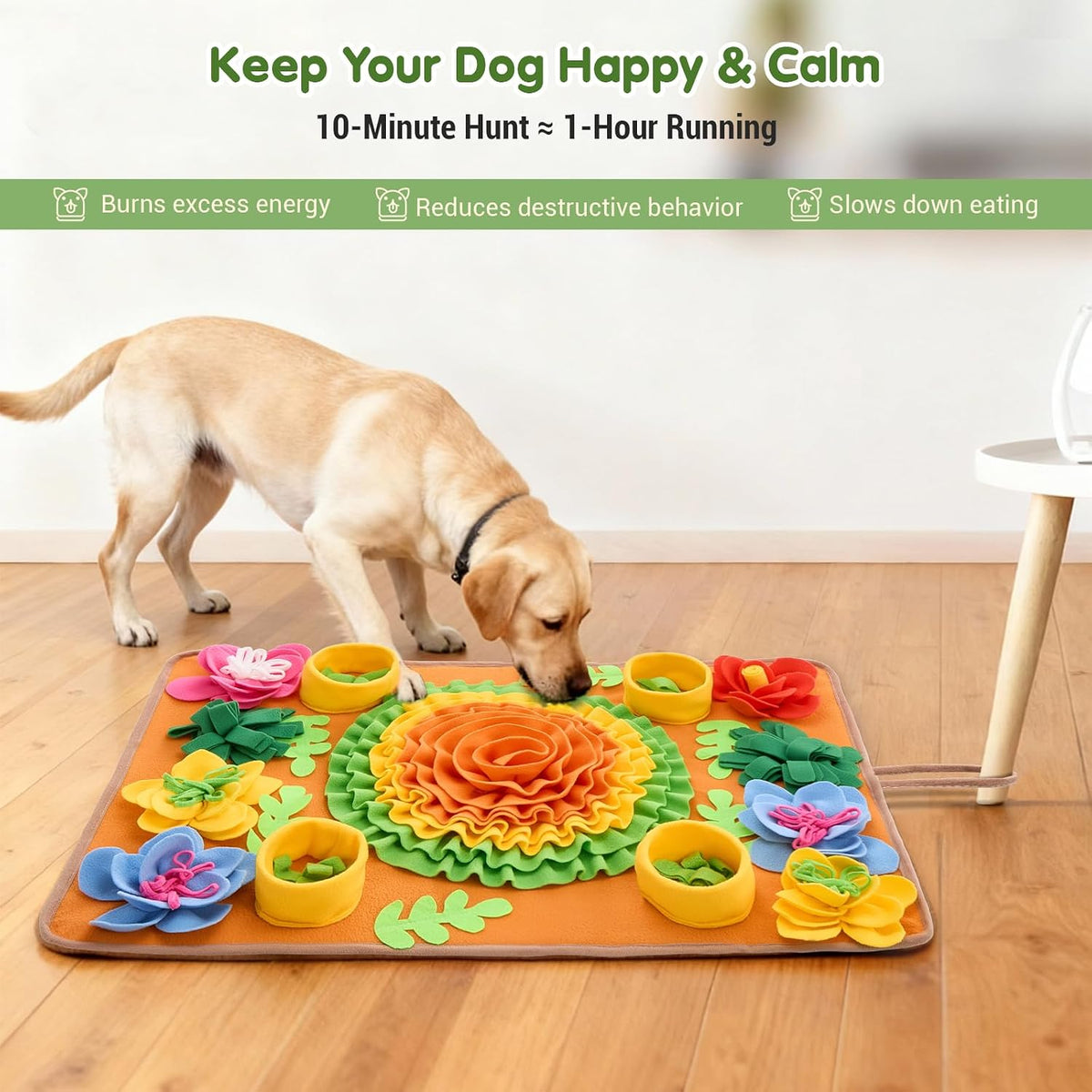 Avont Snuffle Mat for Dogs, Interactive Sniffing Feeding Puzzle Slow Feeder