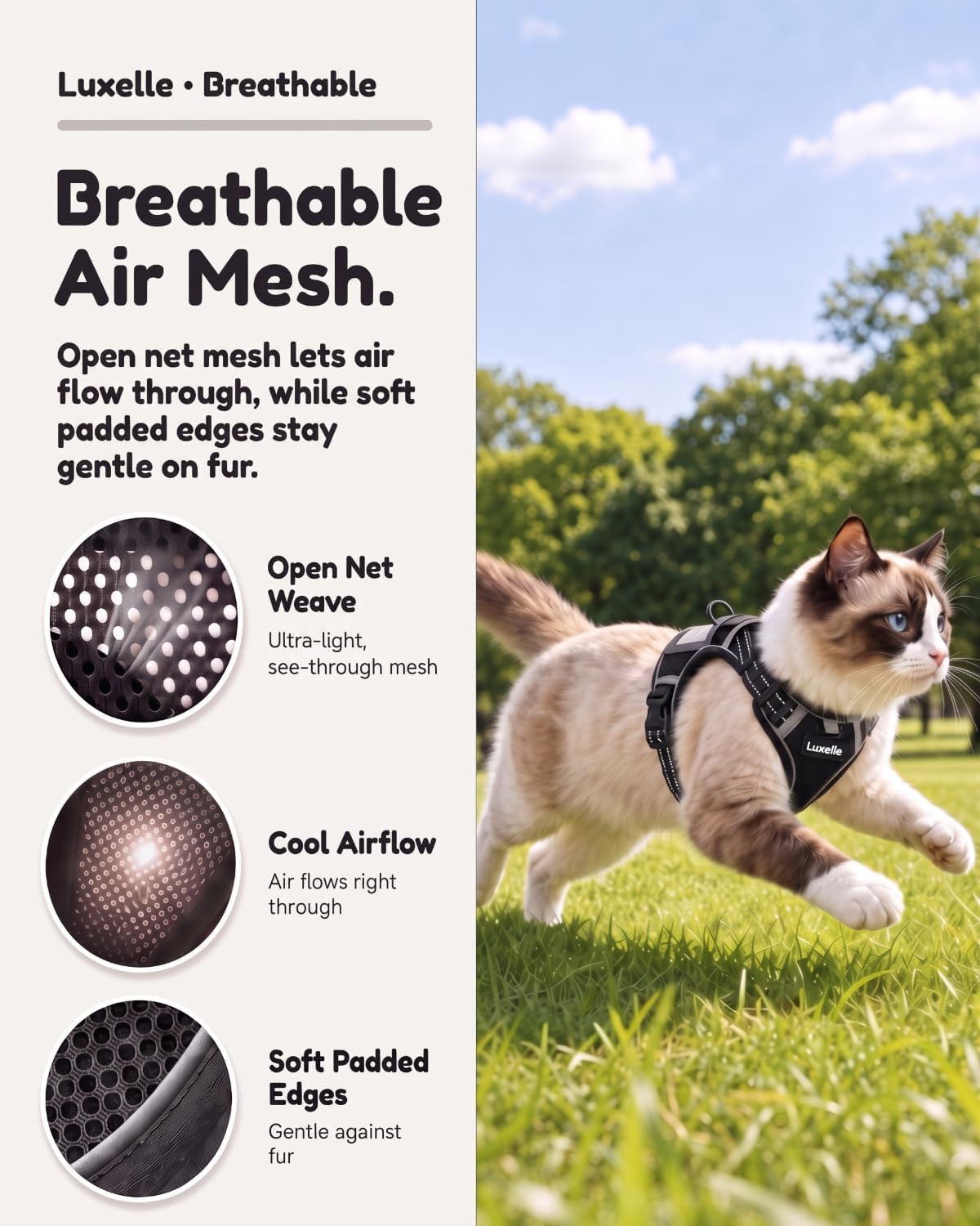 Luxelle Escape Proof Cat Harness with Retractable Leash & Wrist Strap Set