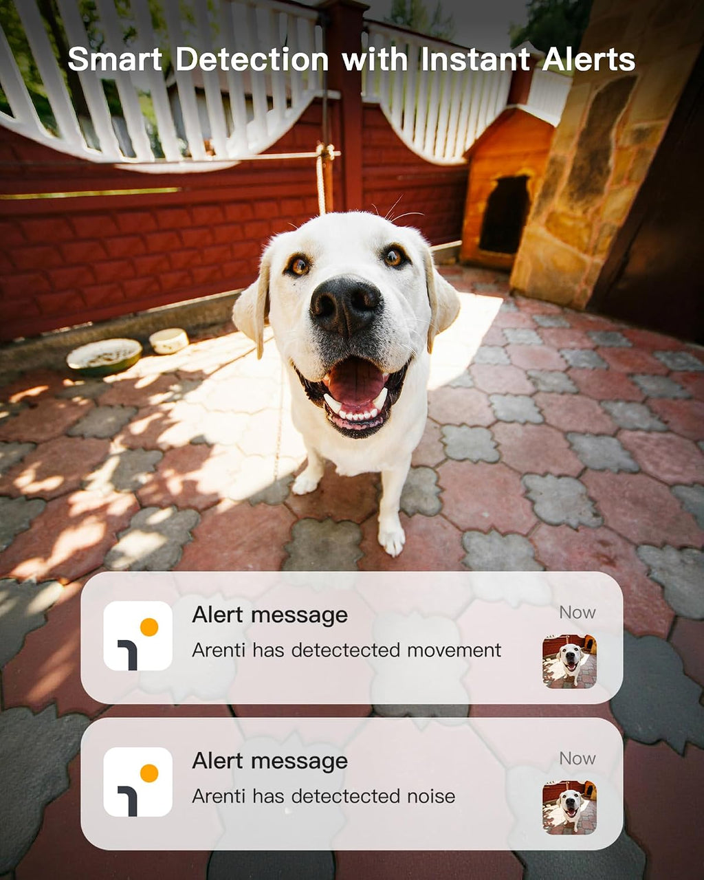 ARENTI 360° View 4MP 5G WiFi 6 Pet Camera P2F 2PC with 64G Local Storage