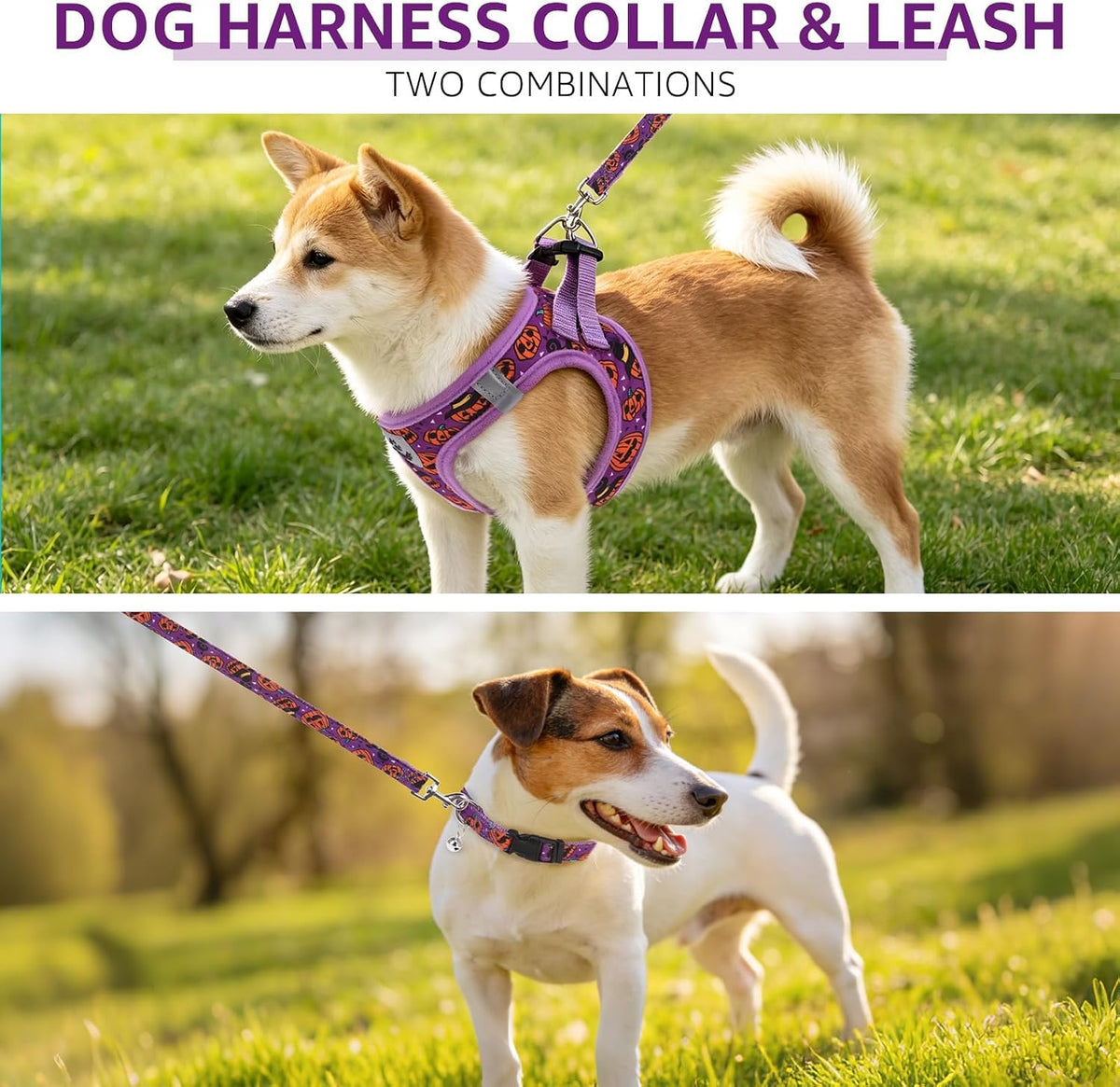 SCENEREAL Halloween Small Dog Harness Collar and Leash Set, Step-in No Pull