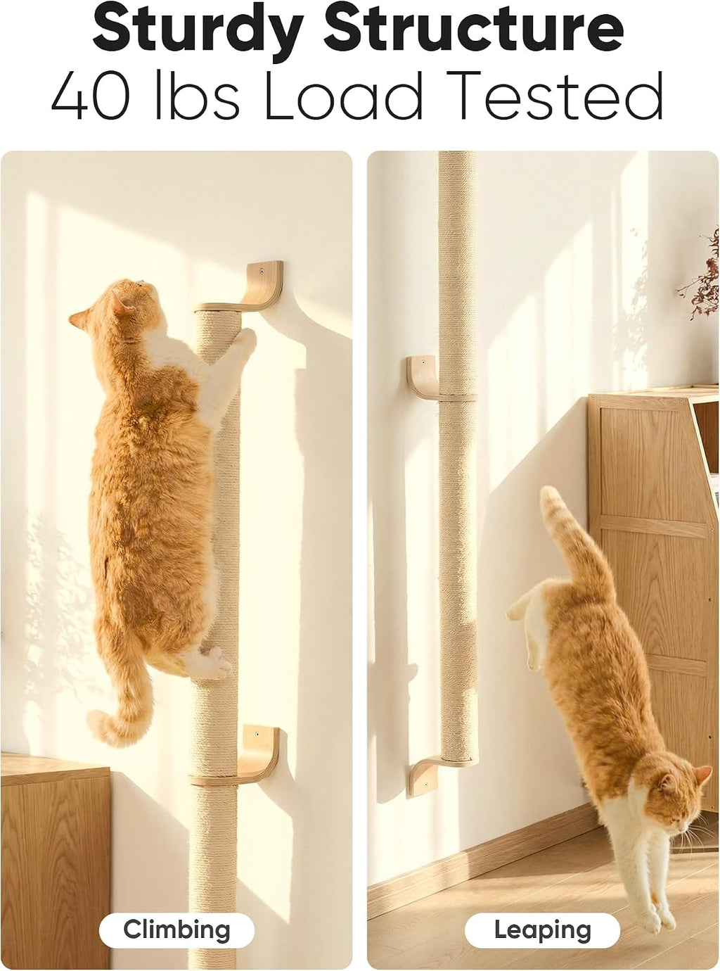 FUKUMARU Cat Wall Scratcher, 60" Tall Kitten Scratching Post