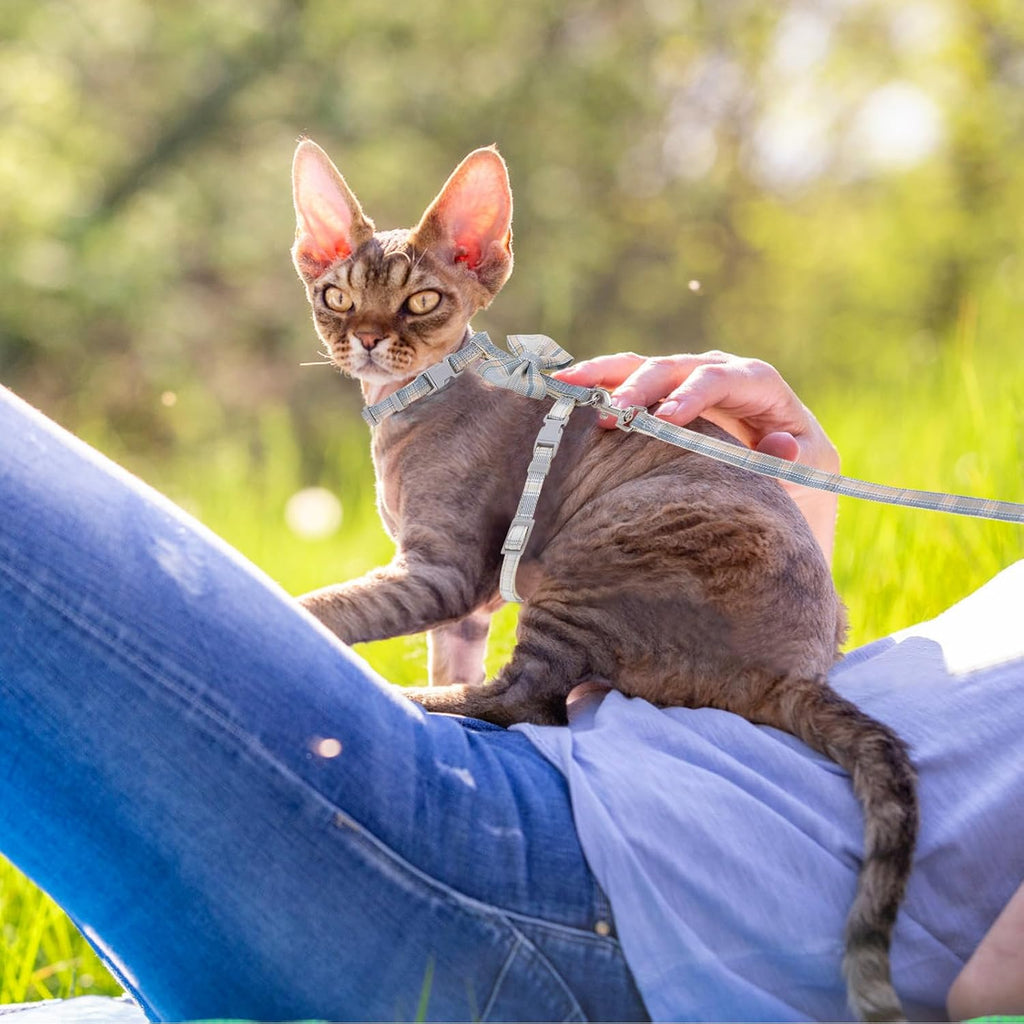 TIESOME Cat Harness and Leash Set, Adjustable Gradient Kitten Harness