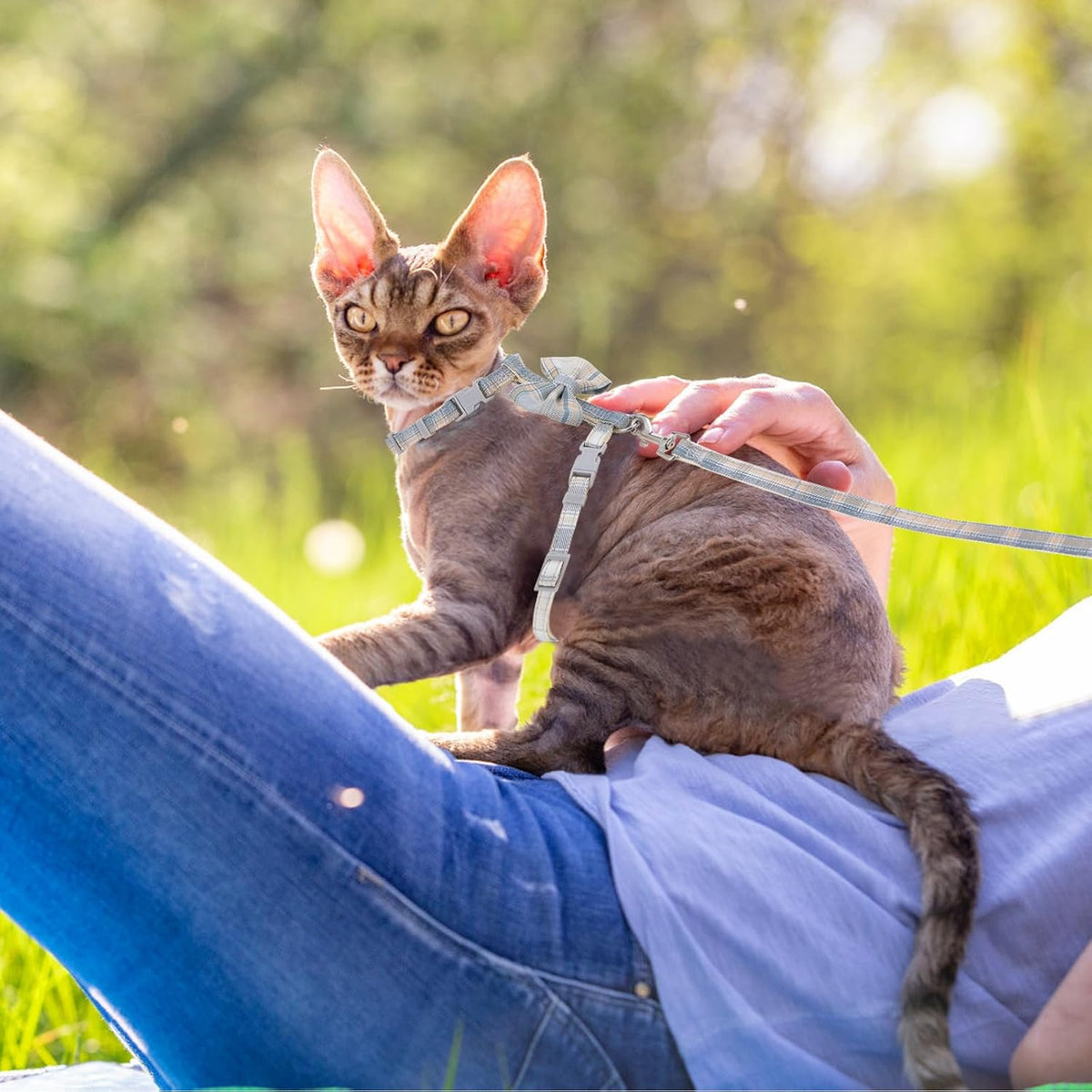 TIESOME Cat Harness and Leash Set, Adjustable Gradient Kitten Harness