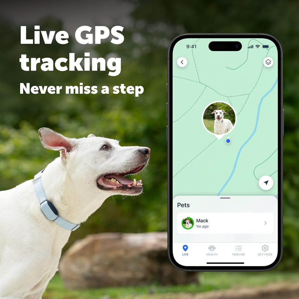 PetSafe GPS Dog Tracker + 3 Month Subscription, Live GPS Tracking