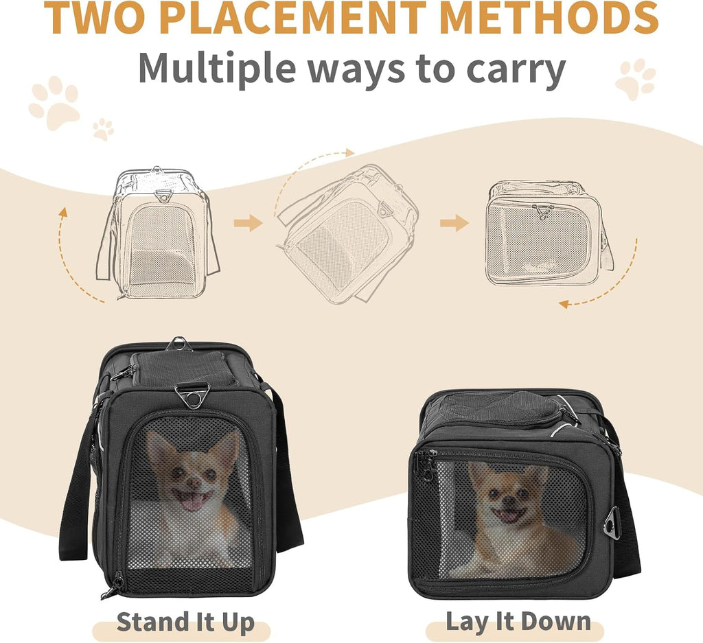 ‌Petsfit Airline Approved Pet Carrier for Small Dogs & Cats, 19x9x12 TSA Approved Carrier, with Removable Dual-Sided Padding (2-Way Placement) - Fits Under Most Airplane Seats, Escape Proof (Black)