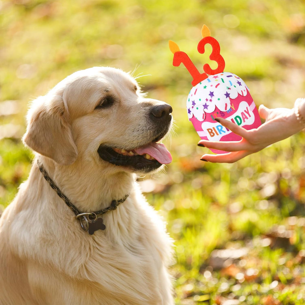 Dansydaisy Dog Birthday Cake Toy Squeaky Plush Gift,13th,Pink | Interactive Squeaky Gift for Dogs, Dog Birthday Decor , Soft Chew for Small Medium Large Pets, Cake Design with Candle