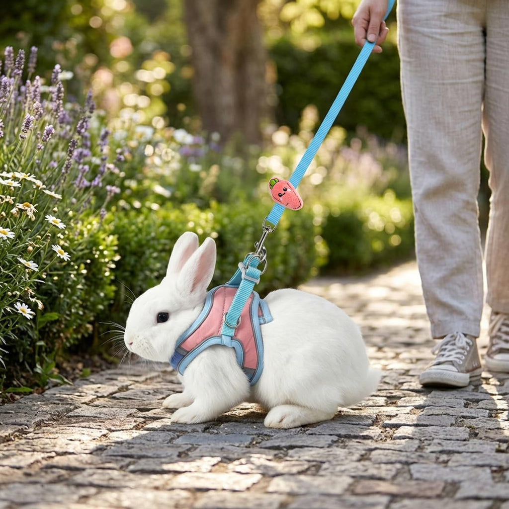 Bunny Harness and Leash Set Double Buckle | Soft Rabbit Harnesses with Carrot | Adjustable Reflective Strips Jacket Escape-Proof Vest for Puppy Guinea Pigs Pet Ferret Walking(Blue-Pink-M)