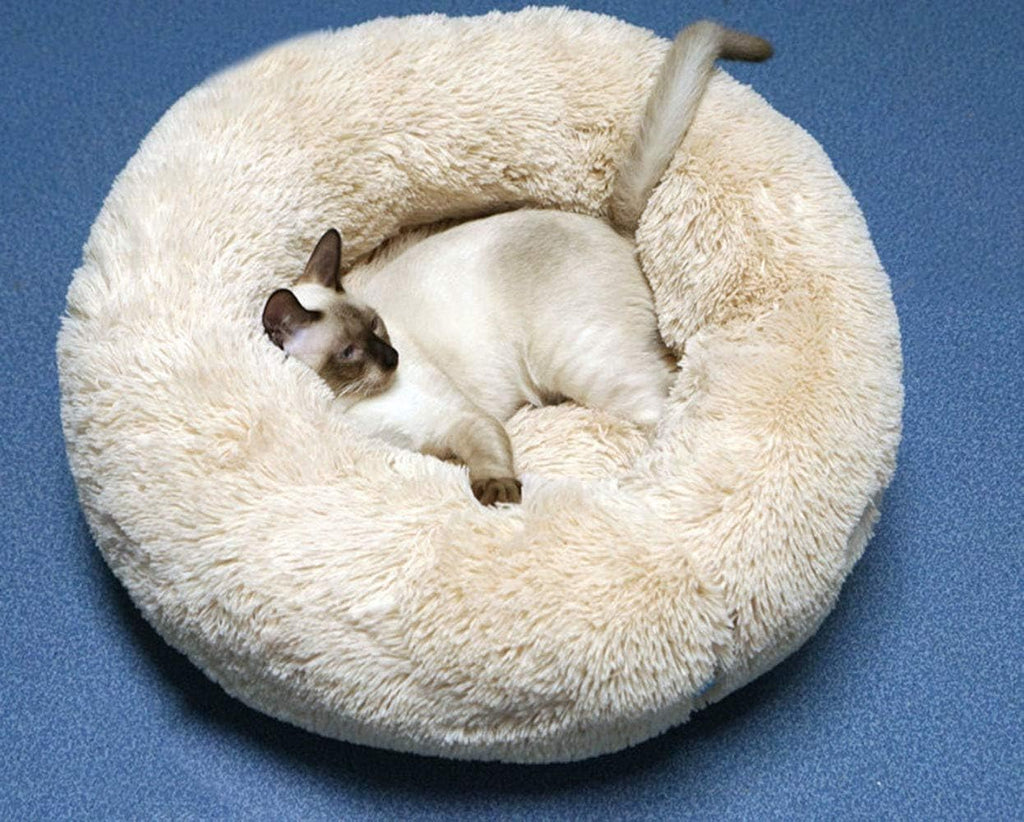 Dog Bed for Small Dogs & Cats, 24 Inch Medium Fluffy Washable Donut Bed