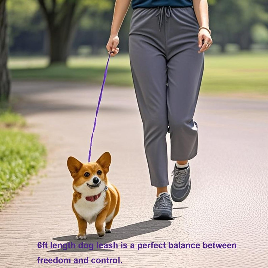 6 FT Puppy Leashes, Strong Traditional Style Leash with Easy to Use Collar Hook,Dog Lead Great for Small and Medium and Large Dog (Purple, 5/8 in x 6 ft)
