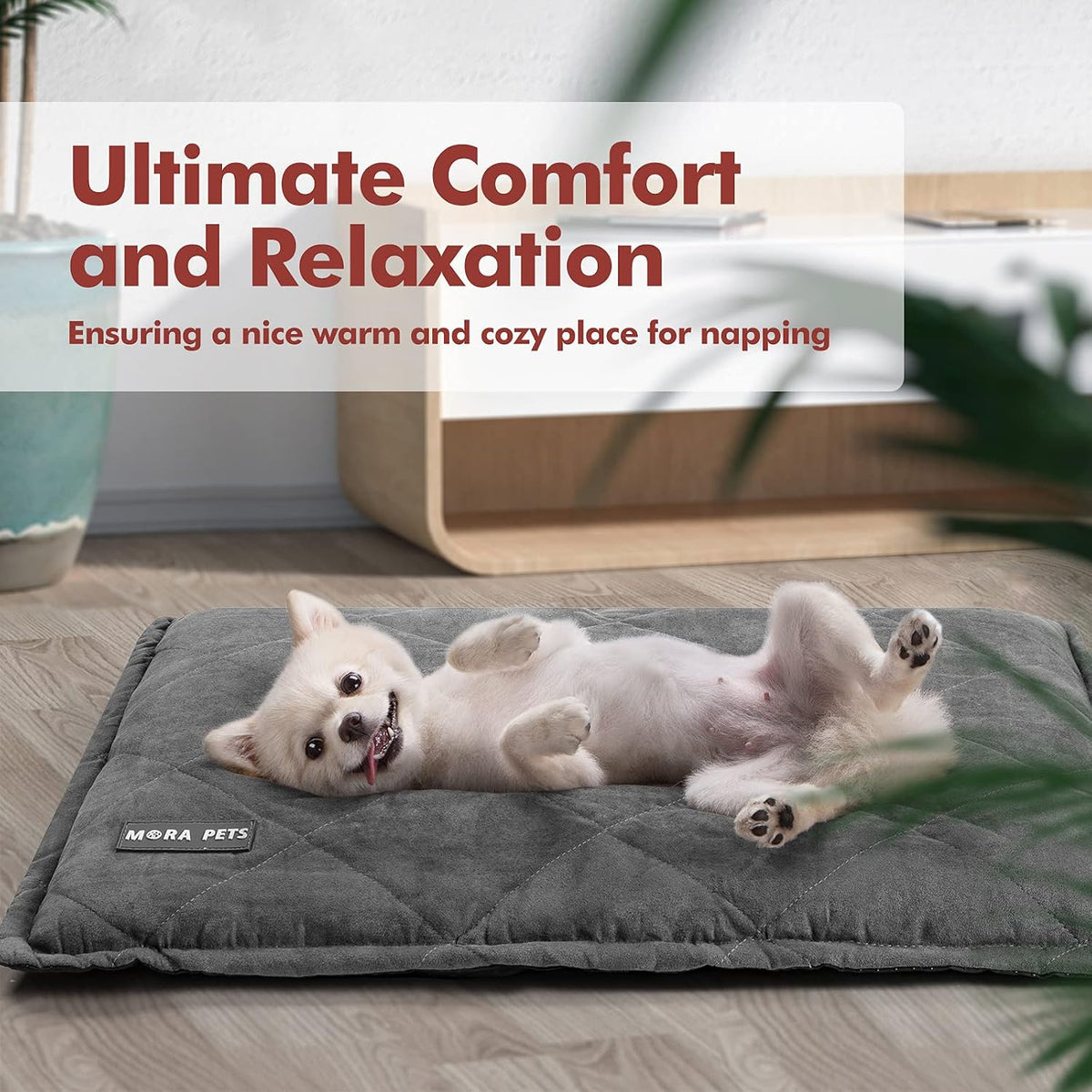 Mora Pets Self Heating Cat Bed Self Warming Cat Pad 24 x 18 Inches