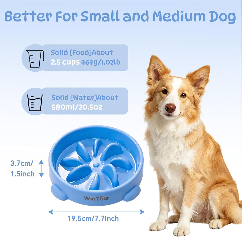 WinTour Slow Feeder Dog Bowls for Small Medium Pets, Round PP Dish, 1 Pack