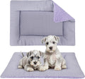 Dog Bed Mat, Crate Pad Reversible,Soft Kennel Washable Crate Mat (Cool and Warm),Pet Sleeping Mattress for Small Medium Dogs XB009 (18''x13'',Corn Velvet Purple)
